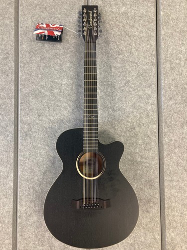 Acoustic guitar blackbird - acoustic,