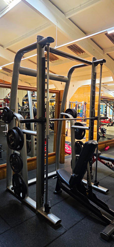 Technogym multipower - technogym,
