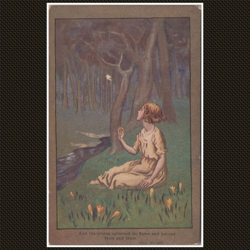Crocus illustration birthday - illustration,
