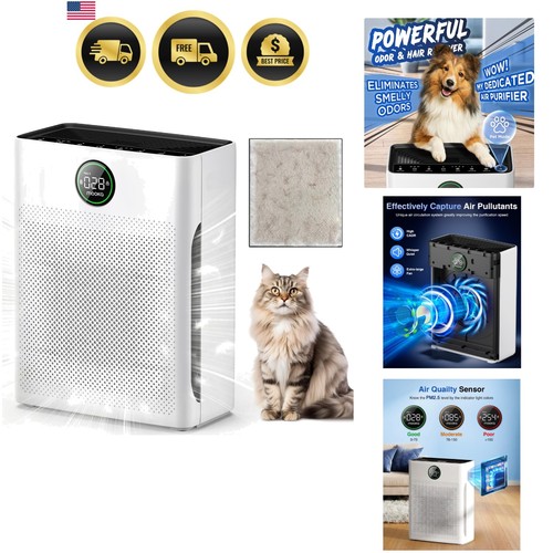 Air purifiers for home - air,