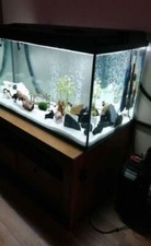 Extra large fish tank used