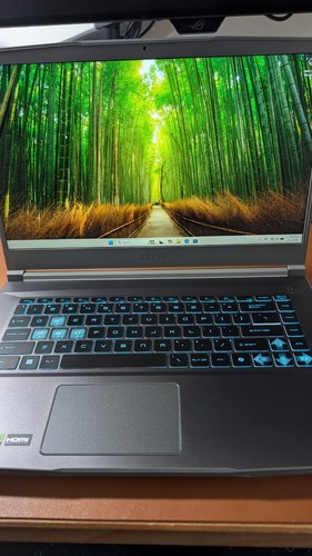 Msi thin a15 rtx - ai, 144hz