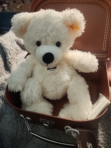 Steiff lotte teddy bear - lotte, in