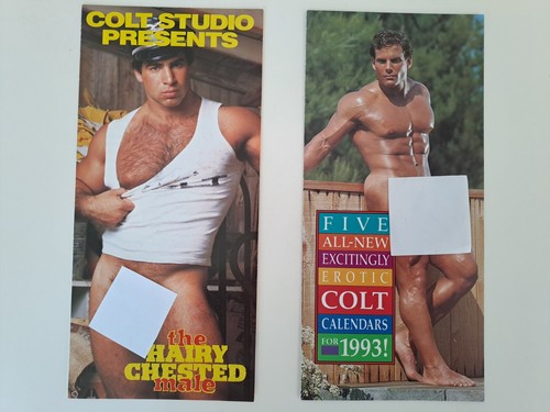 Colt studio magazine - colt,