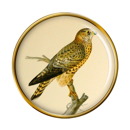 Merlin lapel pin badge - lapel,