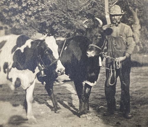 1910s three legged cow bell - 1910s,