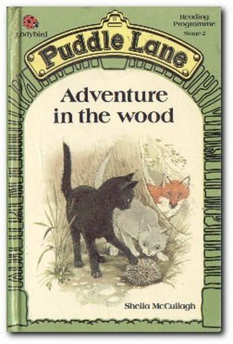 Adventure the wood puddle - in,