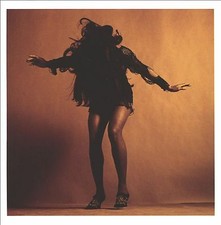 The Last Shadow Puppets 