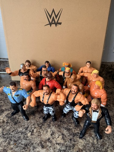 Hasbro wwe wwf action figure - hasbro,