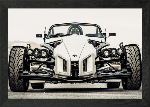 Ariel atom framed wall art - wall,