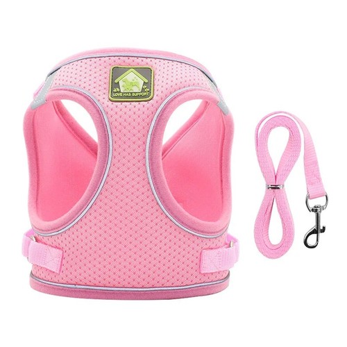 Pull dog pet - no,