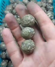 rocks fossils minerals