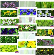 Premium Pond Starter Packs -