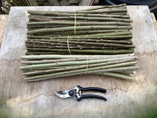100 log/ biomass mix willow & poplar cuttings