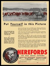 1947 Hereford Cattle, The