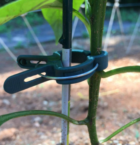 20pcs plant support clips - 20pcs,