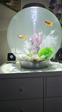 Biorb Classic 60L, Fish Tank, Aquarium, with accessories