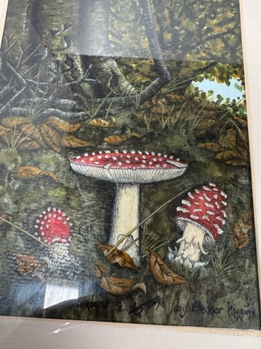 Fly agarics mushrooms - mushrooms, original
