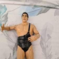 WWE 2005 Andre the Giant