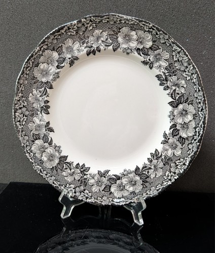 Vintage enoch wedgwood - vintage,