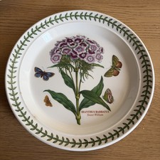 Portmeirion Botanic Garden