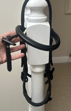 Havana Micklem Anatomical pony