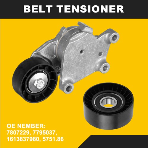 Tensioner pulley ribbed belt - pulley, v