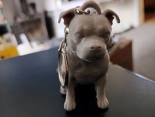 Staffordshire bull terrier - staffordshire,