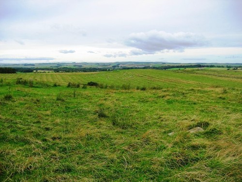 Photo 6x4 pasture land - photo,