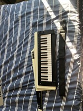 Korg RK-100S