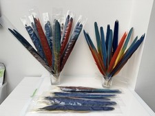 Parrot Macaw Feather Crafts