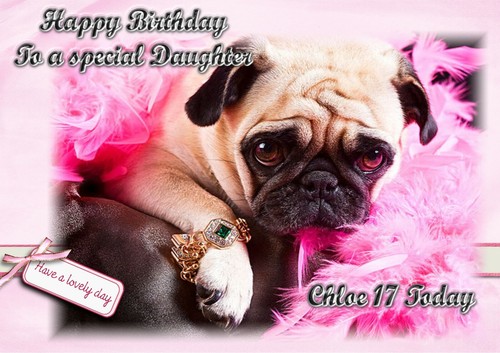 Personalised birthday card - personalised, pug
