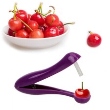 Portable Cherry Olive Pitter