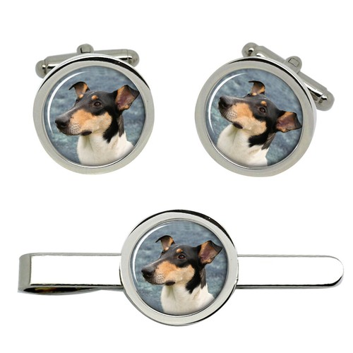Smooth collie cufflinks - smooth,
