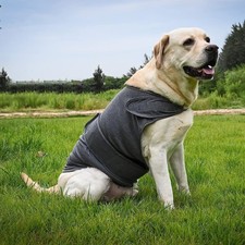 Pet Emotional Dog Clothing Dog Anxiety Jacket Vest Thunder Shirt Coat Calming