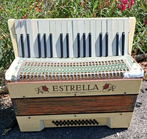 Estrella steel reeds - steel, piano
