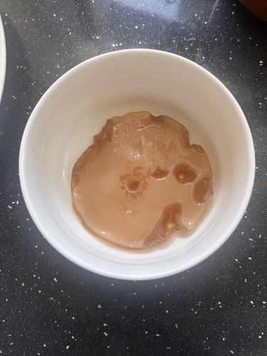Extra large organic kombucha - large,