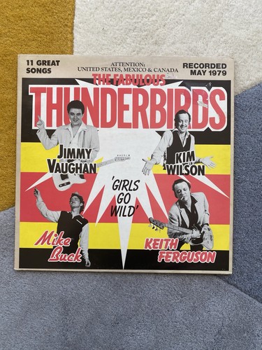 The fabulous thunderbirds - the,