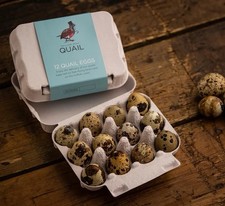 Fresh Quail 48 Gourmet