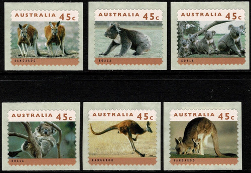 1994 koalas - 1994,