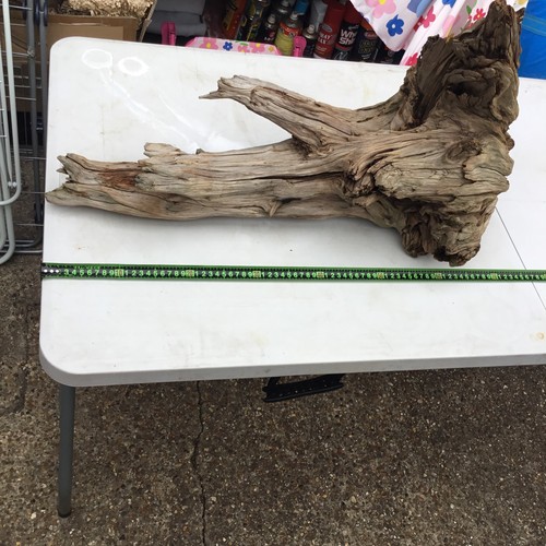 Large corbo root aquarium - root,