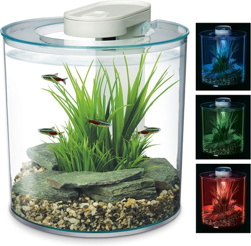 Marina 360 aquarium - marina,