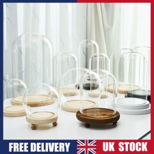 Clear Glass Dome Display