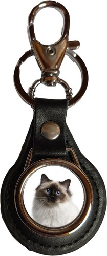 Birman cat pet black - cat,