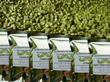 225g Hops - Citra Cascade Fuggles Saaz Simcoe Amarillo Rakau Nectaron Home Brew