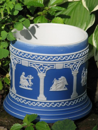 Wedgwood adams xrare - wedgwood,