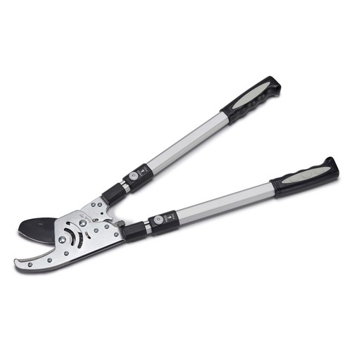 Tree trimmer loppers - tree, double