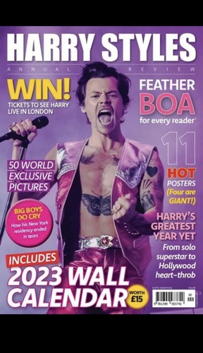 Harry styles annual - harry, review