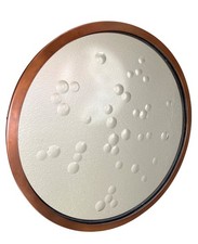 Arteriors Home Round Bubble