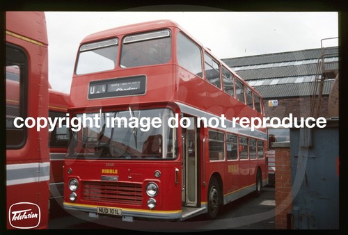 Original bus slide - bus,